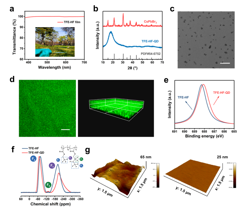图2 TFE-HF和TFE-HF-QD的结构表征