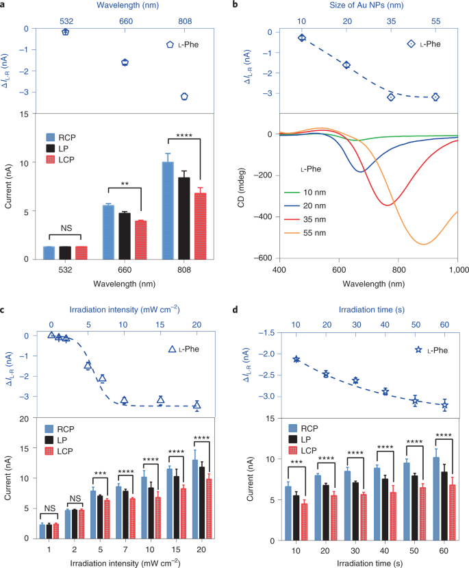 图 2. 来自L-Phe-NPs的纳米薄膜产生的光电流