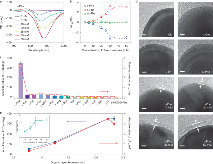 图 3. Phe-NPs产生依赖于CPL的光电流的独特性