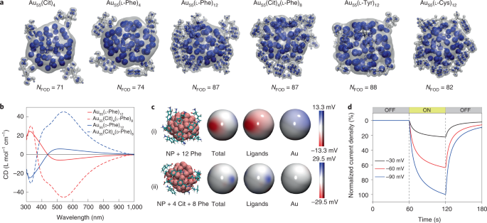 图 4. 通过等离子体驱动将电子喷射到粒子-介质界面产生光电流