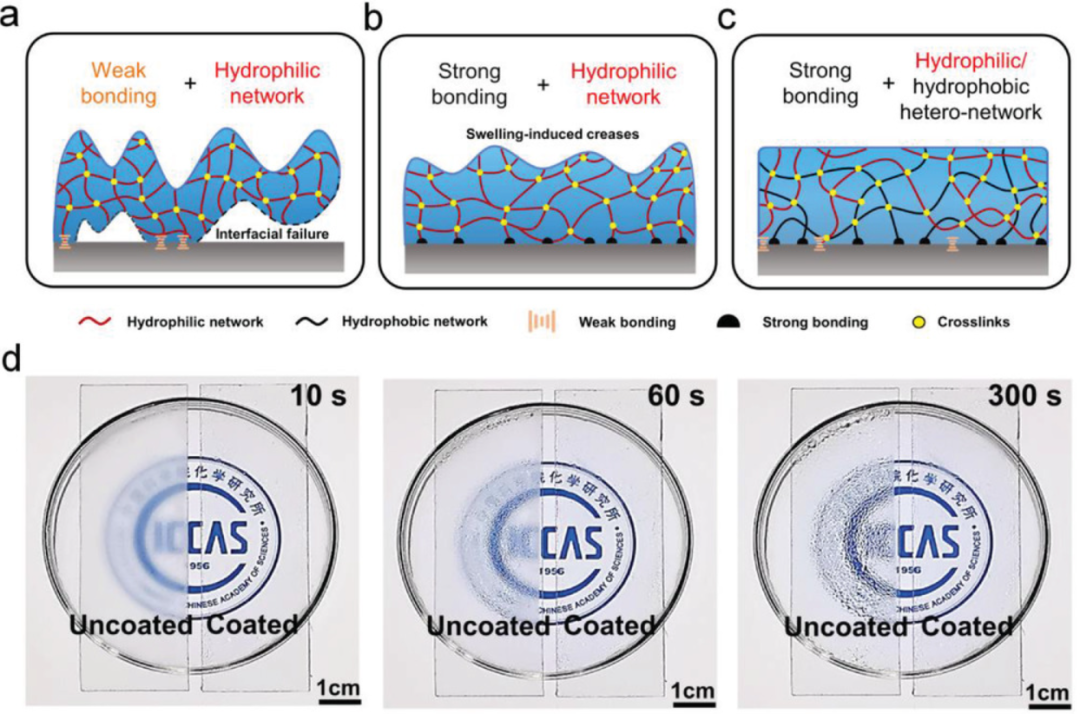 图1. 设计厚的亲水/疏水聚合物网状涂层并具有效的防雾性能 图1. 设计厚的亲水/疏水聚合物网状涂层并具有效的防雾性能