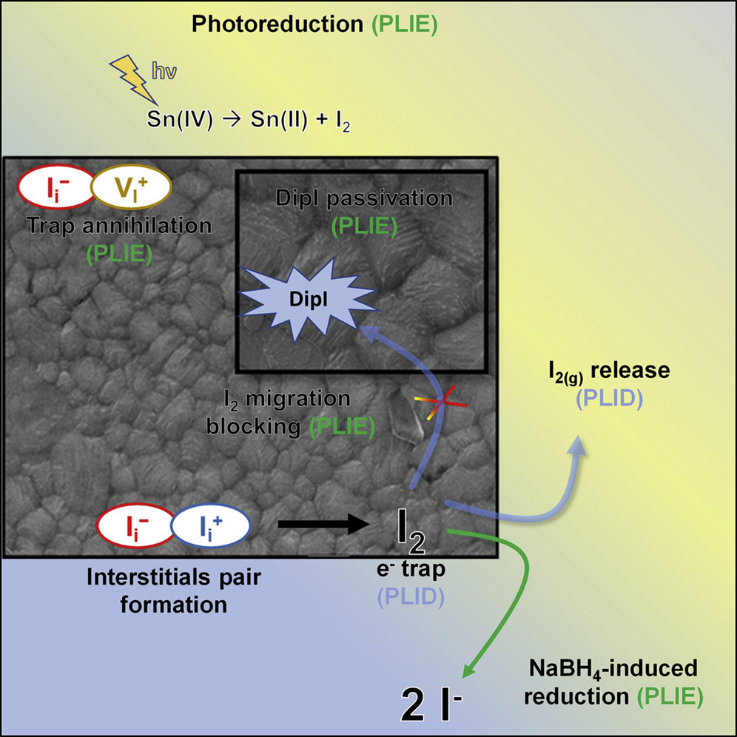 通过协同化学工程方法提高锡钙钛矿太阳能电池的运行稳定性 通过协同化学工程方法提高锡钙钛矿太阳能电池的运行稳定性