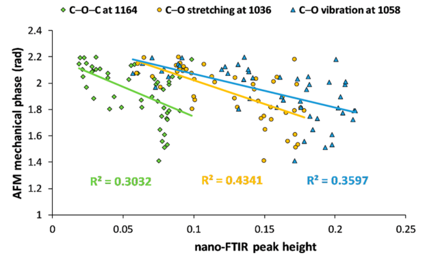 三种不同多糖的nano-FTIR吸收峰与AFM力学相的关系