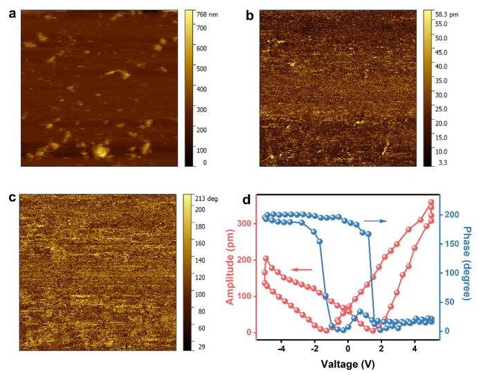 大连理工大学王敏团队Applied Catalysis B: Pt/HAP压电催化HMF到FFCA 大连理工大学王敏团队Applied Catalysis B: Pt/HAP压电催化HMF到FFCA
