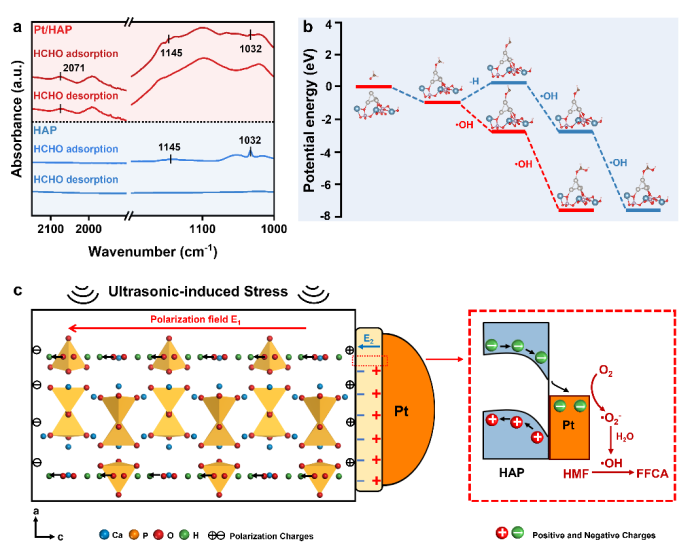大连理工大学王敏团队Applied Catalysis B: Pt/HAP压电催化HMF到FFCA 大连理工大学王敏团队Applied Catalysis B: Pt/HAP压电催化HMF到FFCA