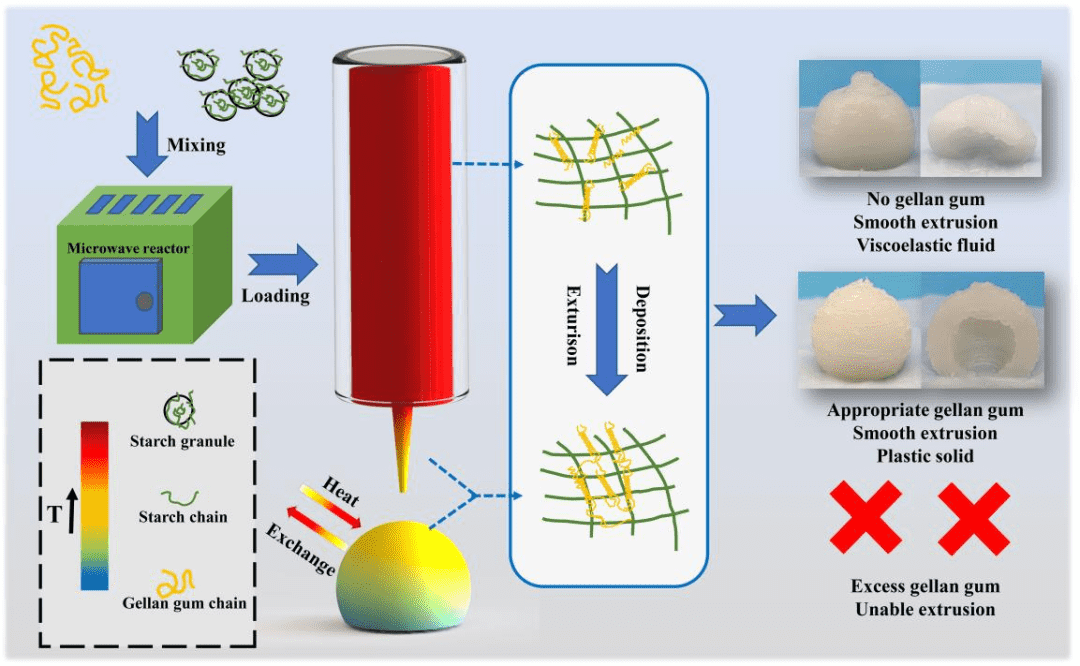 基于结冷胶温度诱导相变的3D食品打印固化技术示意图