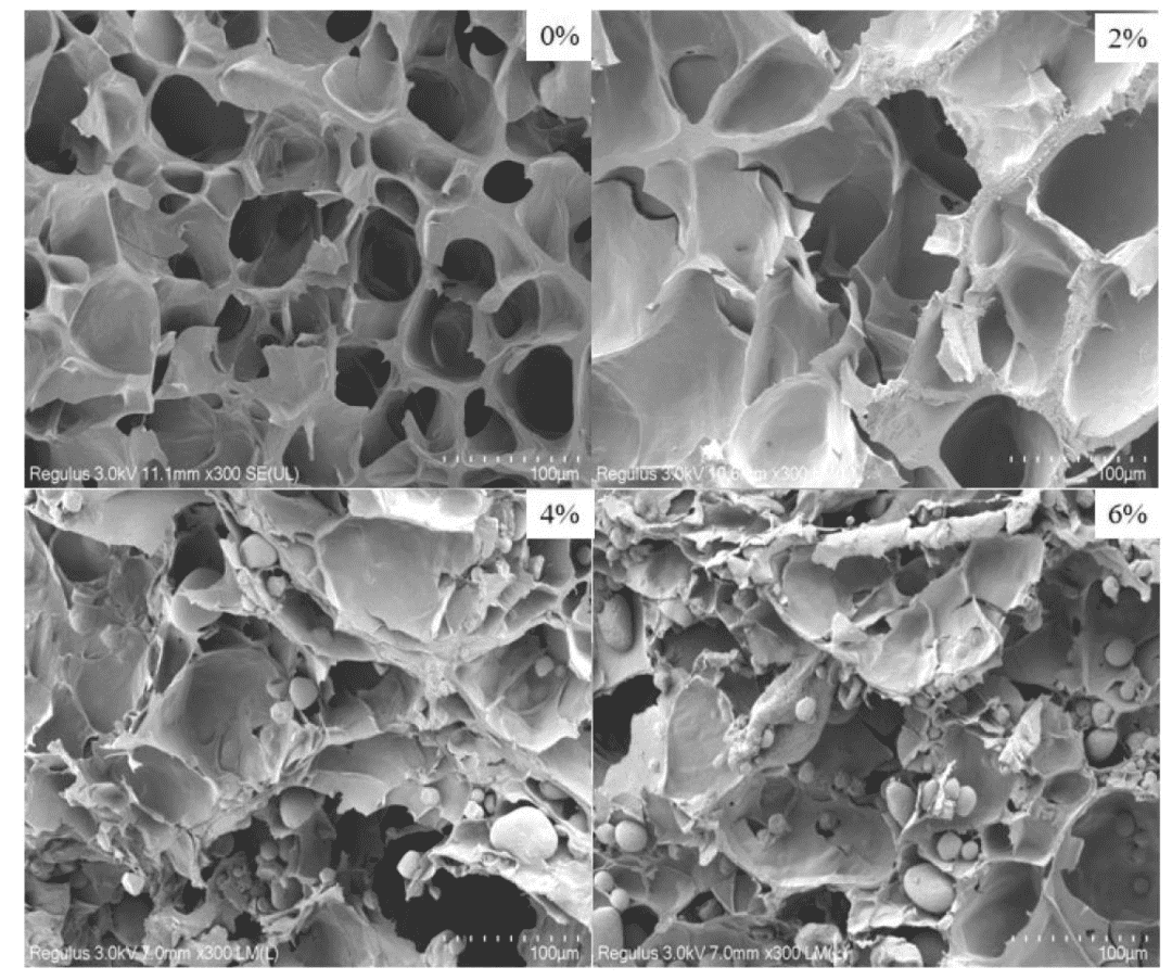 打印产品的SEM显微照片