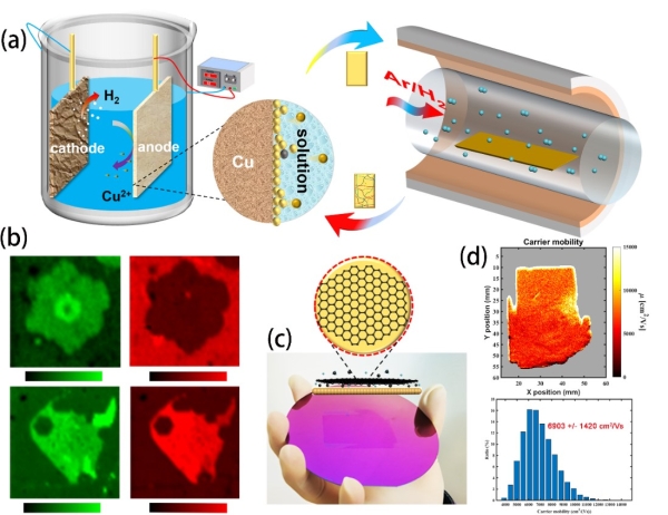 化学所等在单晶石墨烯制备研究方面获进展