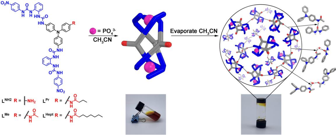 阴离子配位组装形成功能性凝胶 阴离子配位组装形成功能性凝胶