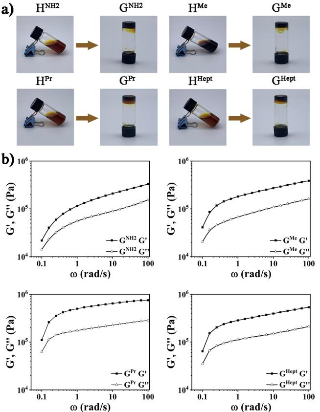 凝胶实物图与流变测量 凝胶实物图与流变测量