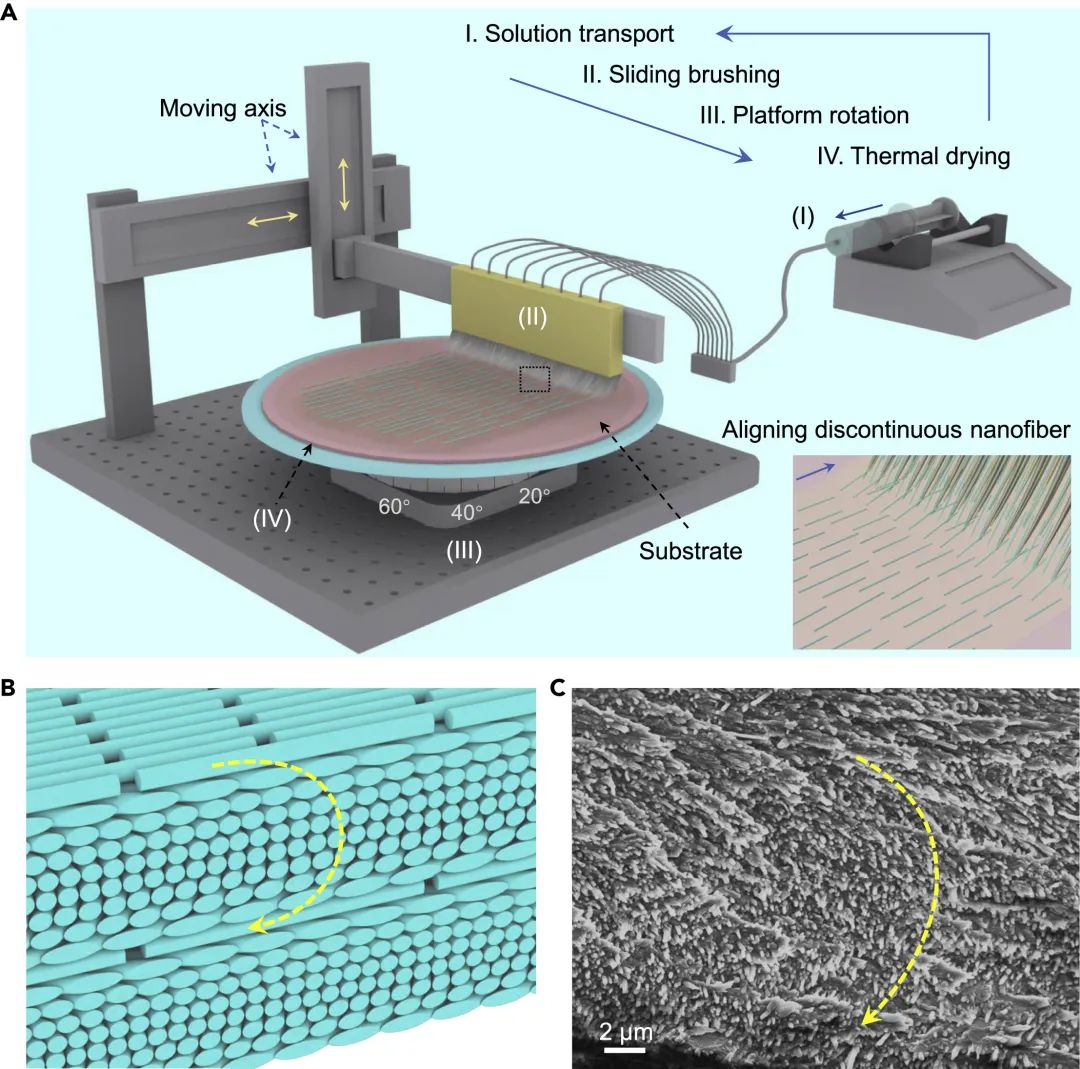 可编程纳米纤维组装系统和仿生非连续Bouligand结构表征 可编程纳米纤维组装系统和仿生非连续Bouligand结构表征