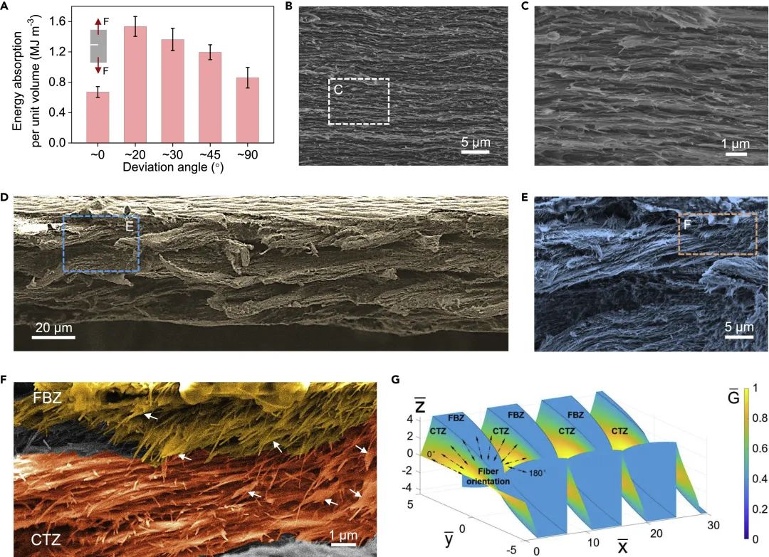 撕裂加载下,仿生非连续Bouligand结构纳米复合薄膜的单位体积能量吸收和裂纹扩展 撕裂加载下,仿生非连续Bouligand结构纳米复合薄膜的单位体积能量吸收和裂纹扩展