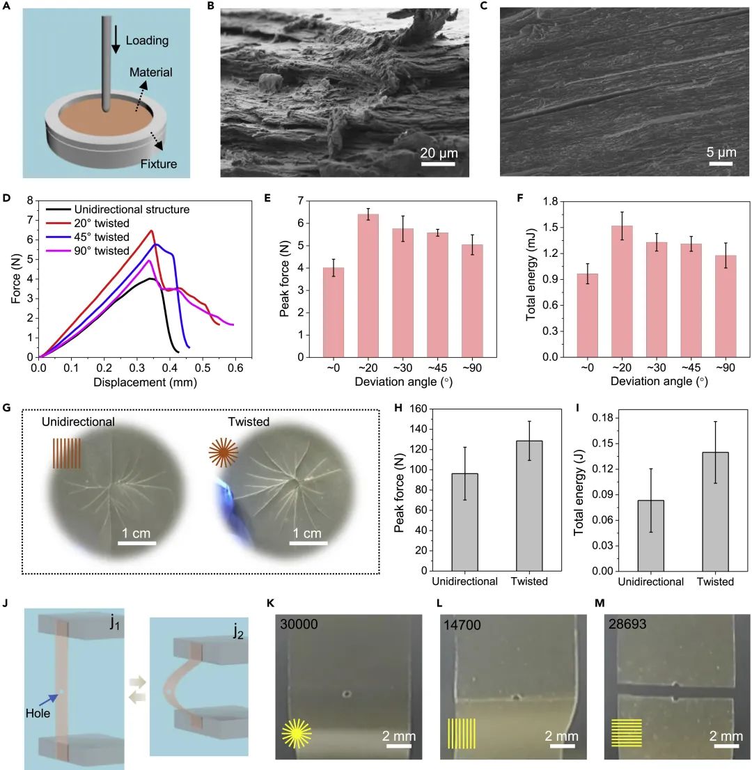 仿生非连续Bouligand结构纳米复合薄膜的穿刺和冲击性能 仿生非连续Bouligand结构纳米复合薄膜的穿刺和冲击性能