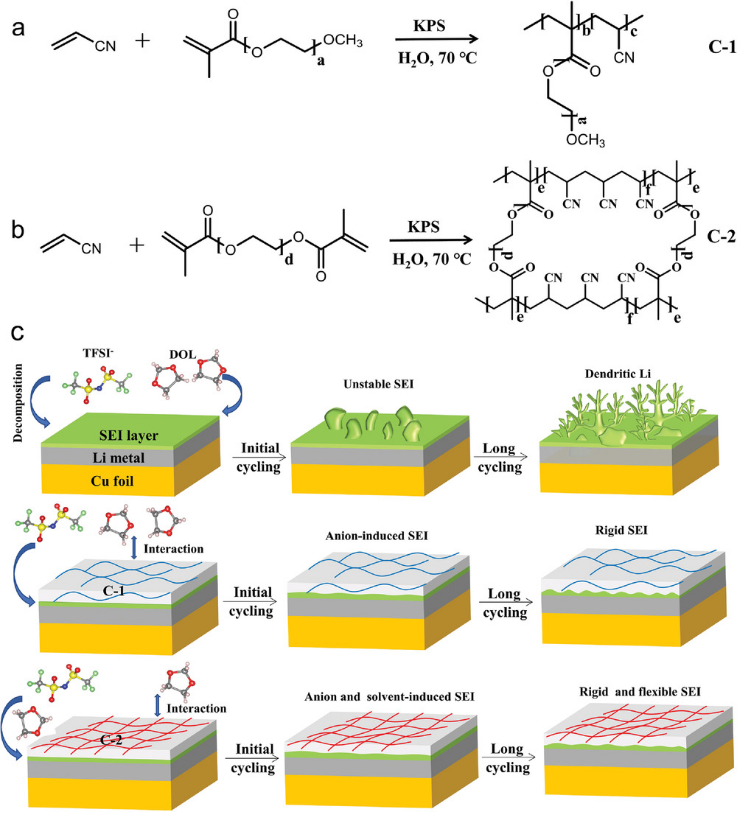 刚柔并济SEI膜助力高性能锂金属电池 刚柔并济SEI膜助力高性能锂金属电池