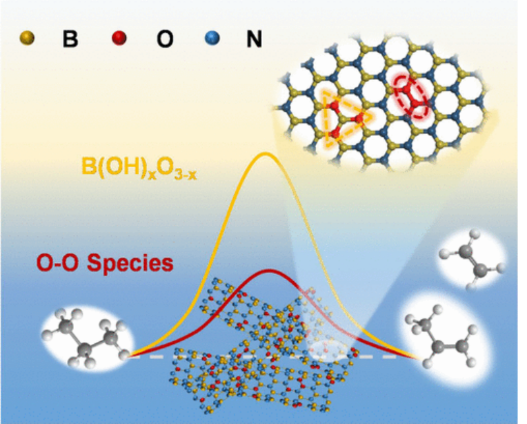 JACS:硼-氧-氮纳米管高效率丙烷氧化脱氢制烯烃 JACS:硼-氧-氮纳米管高效率丙烷氧化脱氢制烯烃