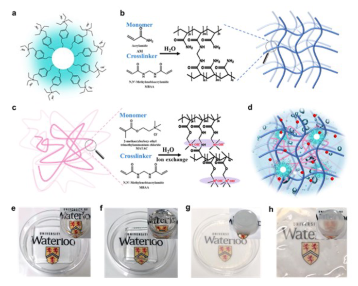 AM: 仿生柔韧固态电解质实现超长寿命柔锌空电池