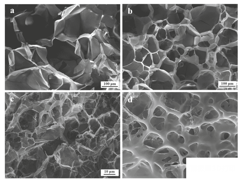 PNIPAM水凝胶的SEM图像 PNIPAM水凝胶的SEM图像