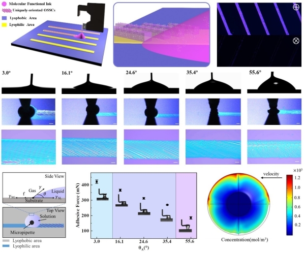 单一取向有机半导体单晶图案的直写打印新方法 单一取向有机半导体单晶图案的直写打印新方法