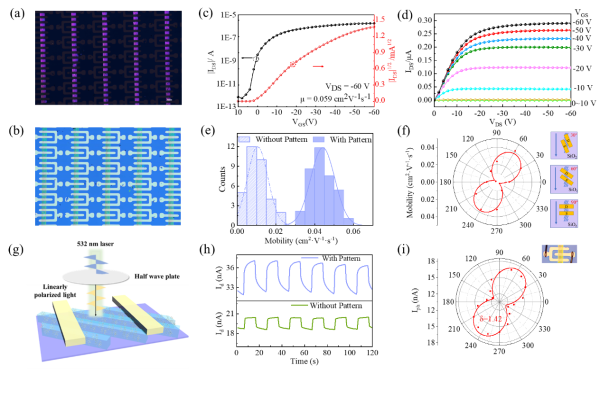 利用单一取向晶体薄膜阵列实现了有机场效应晶体管及偏振光电探测器的阵列化制备 利用单一取向晶体薄膜阵列实现了有机场效应晶体管及偏振光电探测器的阵列化制备
