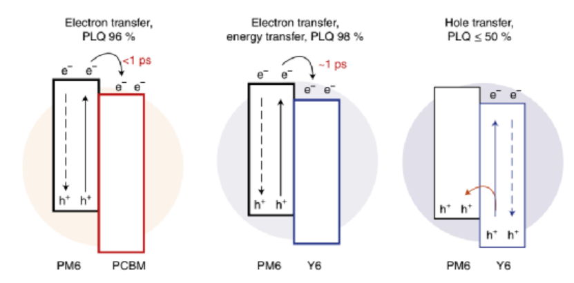 图4. 有机纳米粒子中的激子淬灭、电子/能量转移