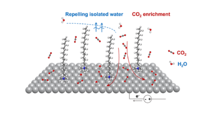  JACS：带电电极−电解质界面上动态形成的表面活性剂组装助力CO2电还原