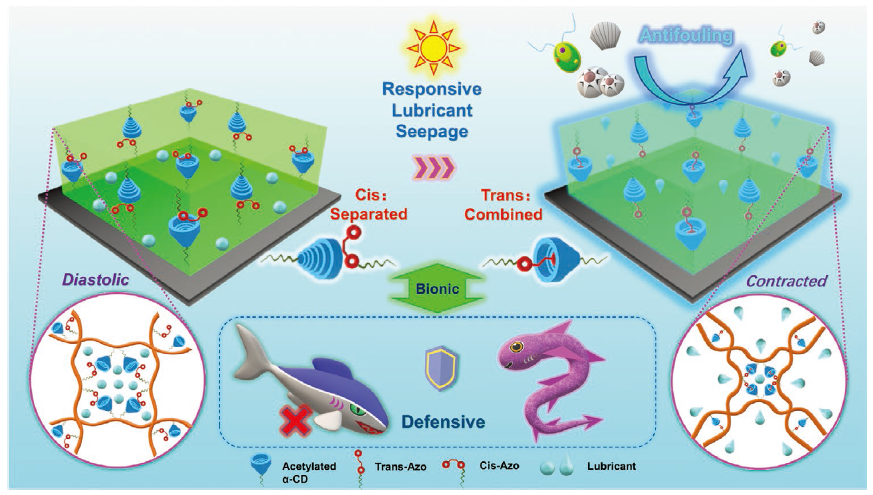 基于盲鳗启发的SLIPS海洋防污涂料的设计与响应机制