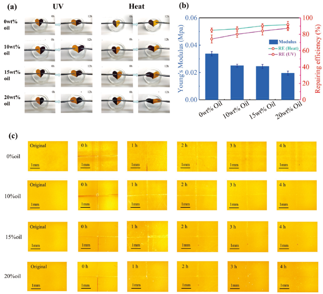 受盲鳗启发的SLIPS海洋防污涂料方案