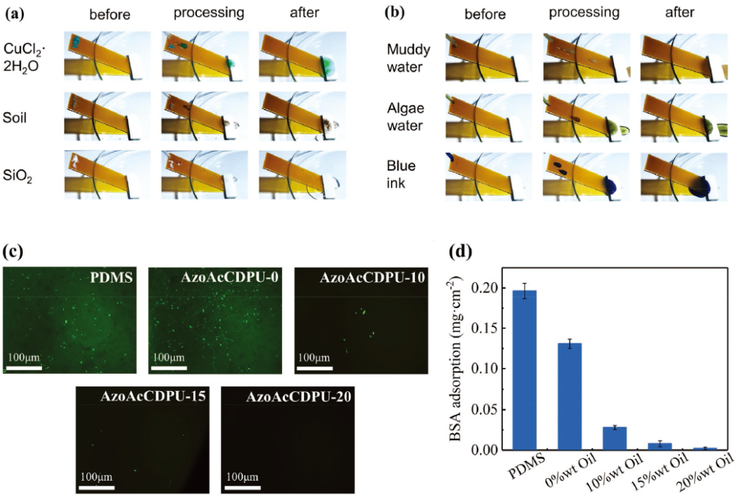 受盲鳗启发的SLIPS海洋防污涂料方案