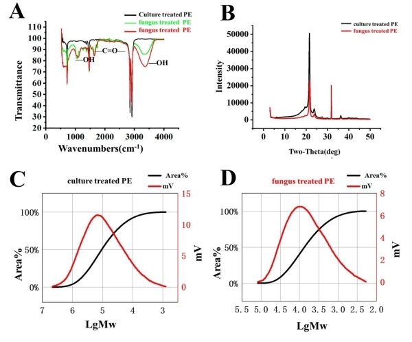 多种手段检测海洋真菌Alternaria alternata FB1降解聚乙烯塑料的效果