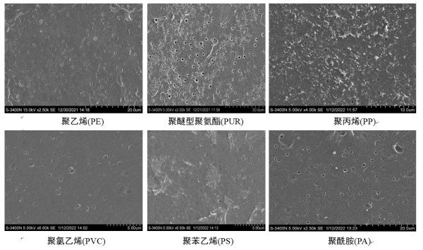 条件改良后海洋真菌Alternaria alternata FB1对多种塑料均有明显降解效果(1个月) 