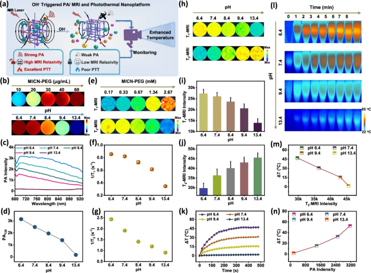 Nano Letters:可降解磁性纳米粒实现氢氧离子触发的光声、磁共振成像和光热转换,用于精确的肿瘤诊疗 Nano Letters:可降解磁性纳米粒实现氢氧离子触发的光声、磁共振成像和光热转换,用于精确的肿瘤诊疗