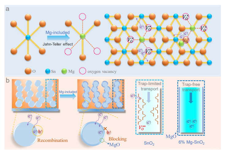 Mg修饰多孔SnO2电子传输层提高钙钛矿电池性能 Mg修饰多孔SnO2电子传输层提高钙钛矿电池性能
