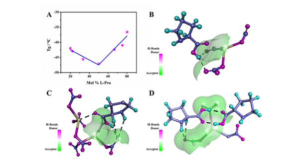 L-脯氨酸与六水合硝酸铈以不同的摩尔比形成的混合物的玻璃化转变温度及三维结合模式图