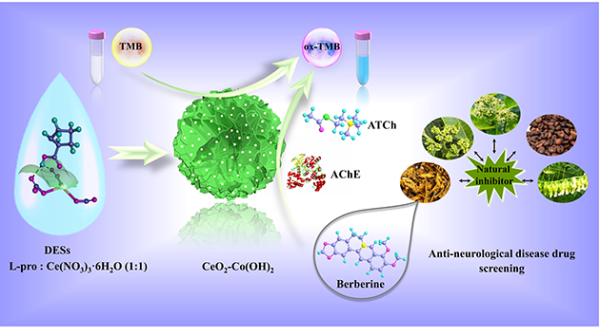 eO2-Co(OH)2复合材料用于乙酰胆碱酯酶活性检测及抑制剂筛选