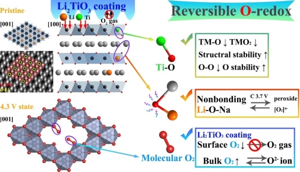 分子氧和非键态氧调控钠电正极可逆阴离子氧化还原