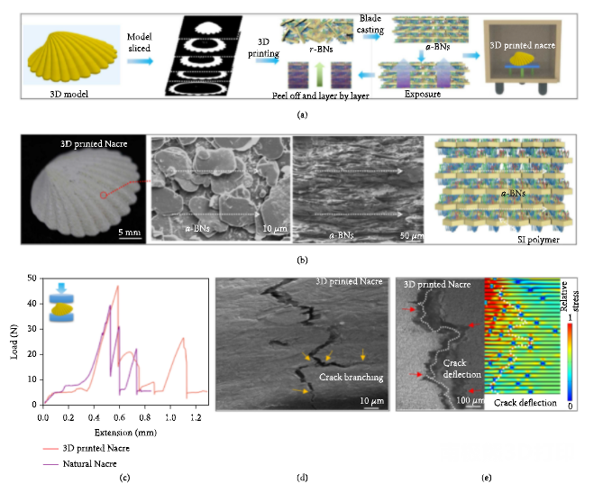 3D打印技术制造机械性能和阻燃性能俱佳的仿珍珠母结构 3D打印技术制造机械性能和阻燃性能俱佳的仿珍珠母结构
