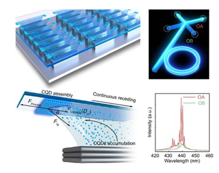 AM：光电胶体量子点可控组装