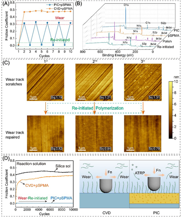 图3.聚合物刷在PIC涂层表面的重复接枝 图3.聚合物刷在PIC涂层表面的重复接枝