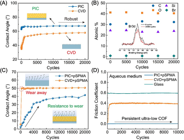 图2.PIC以及接枝聚合物刷后涂层的耐磨性 图2.PIC以及接枝聚合物刷后涂层的耐磨性
