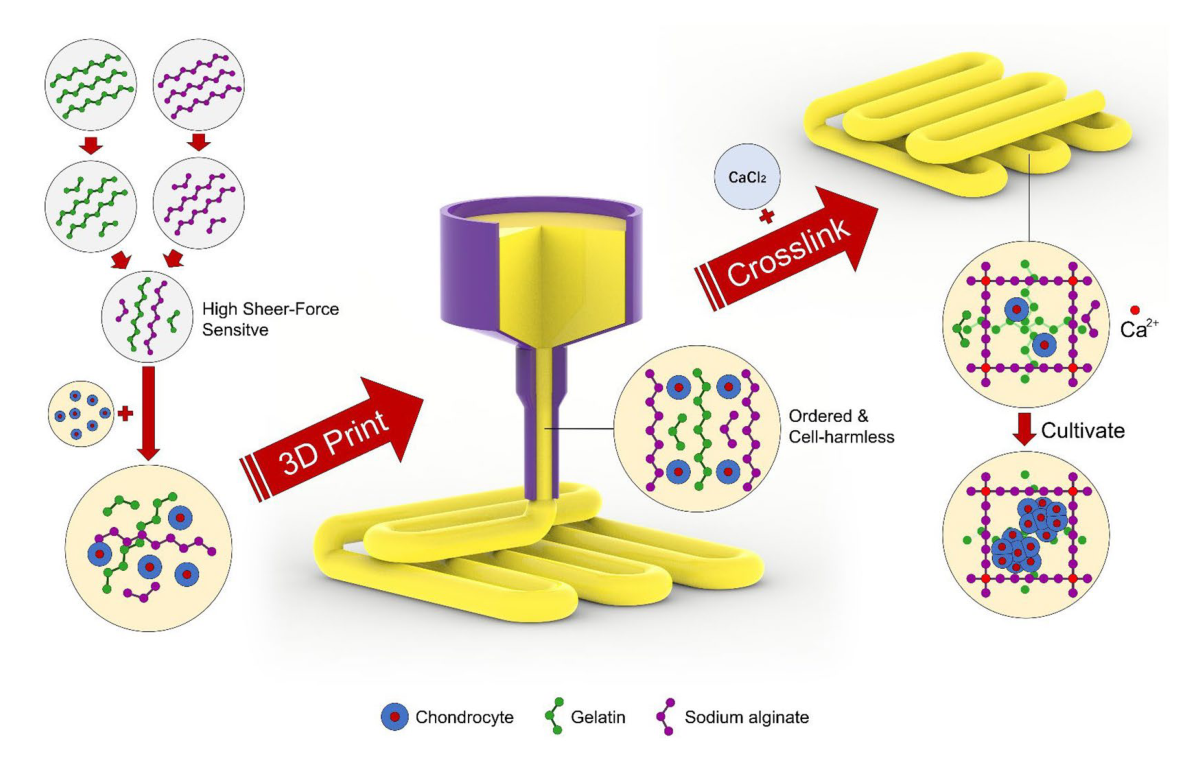 能够产生高度生物活性和精密结构的方法 能够产生高度生物活性和精密结构的方法