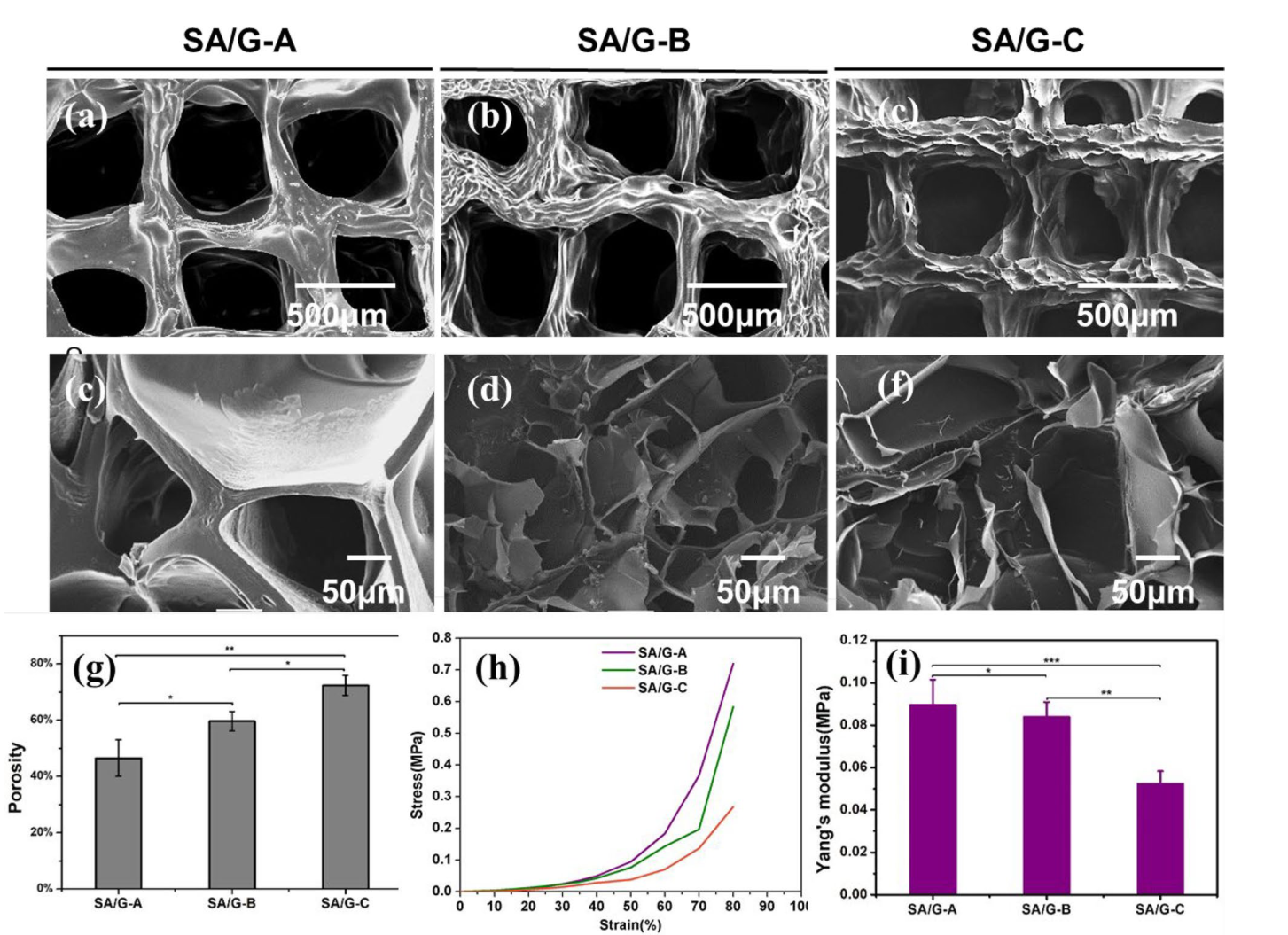 由生物墨水打印的支架物理特性 由生物墨水打印的支架物理特性