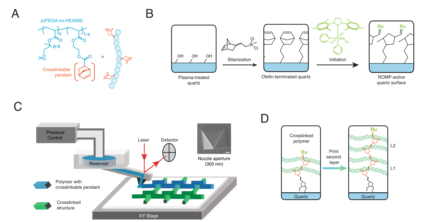 3D纳米打印的关键步骤 3D纳米打印的关键步骤