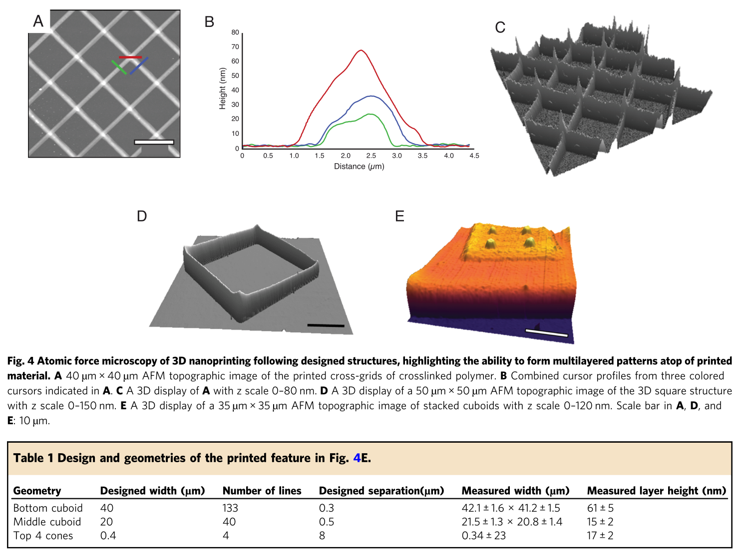 原子力显微镜对3D纳米打印的设计结构进行观察 原子力显微镜对3D纳米打印的设计结构进行观察