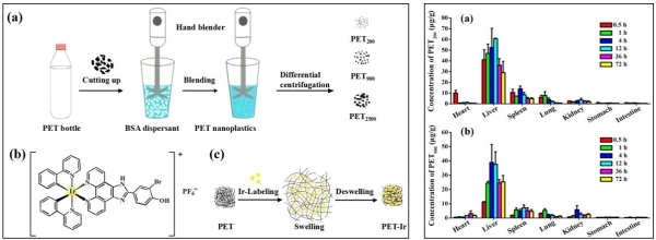 以矿泉水瓶为原料的PET纳米塑料制备、铱元素标记示意图，以及静脉注射条件下纳米塑料在小鼠体内的定量分布