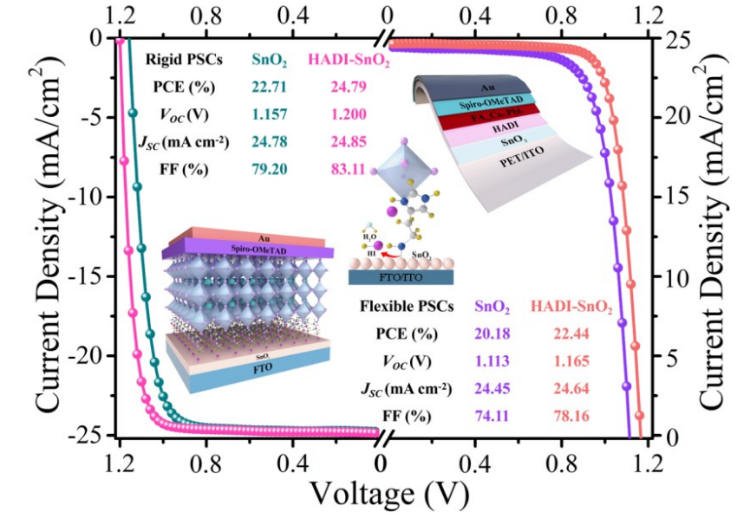 AM:通过多功能有机离子界面钝化实现创纪录效率的柔性钙钛矿太阳能电池 AM:通过多功能有机离子界面钝化实现创纪录效率的柔性钙钛矿太阳能电池