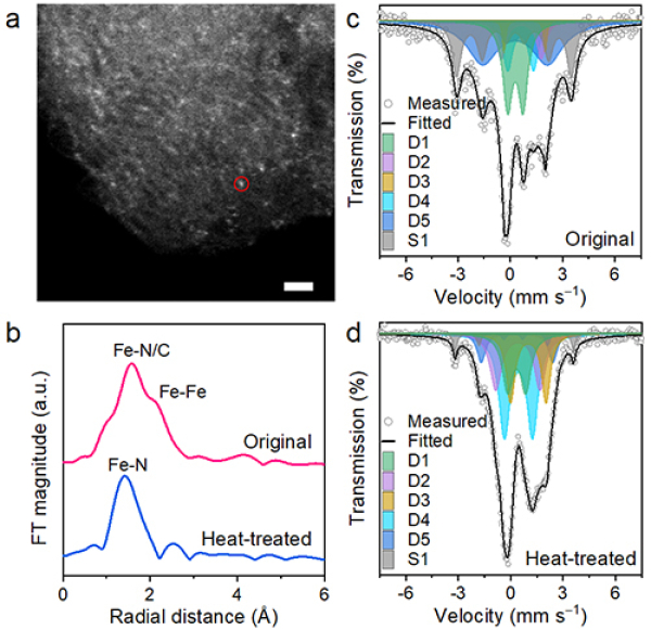 大连化物所利用穆斯堡尔谱技术实现对单原子铁催化剂纯度的精准表征 大连化物所利用穆斯堡尔谱技术实现对单原子铁催化剂纯度的精准表征