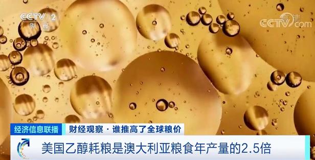 美国、巴西、欧盟3亿吨粮食变燃料 美国、巴西、欧盟3亿吨粮食变燃料