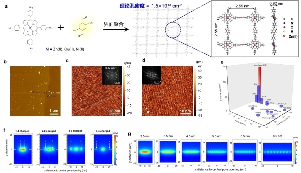 单分层COF膜低孔间距的强孔-孔耦合效应用于盐差能转化