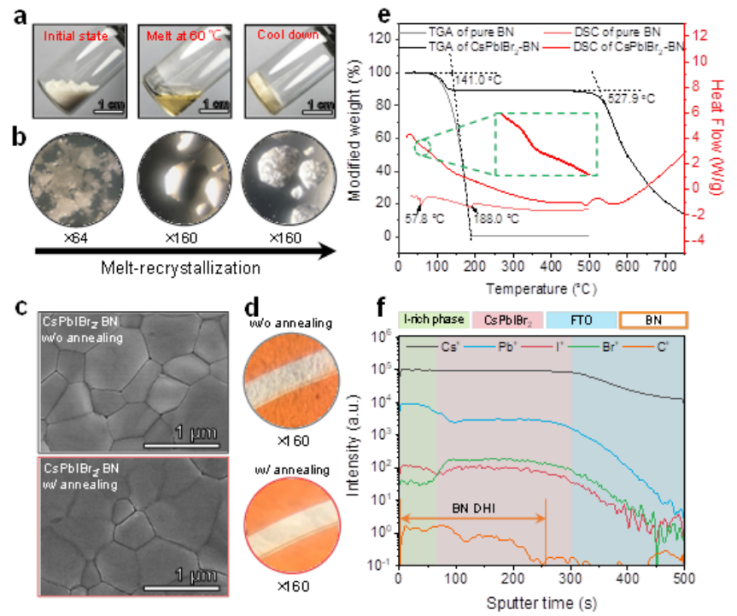AM：用于修复钙钛矿太阳能电池的通用动态液体界面