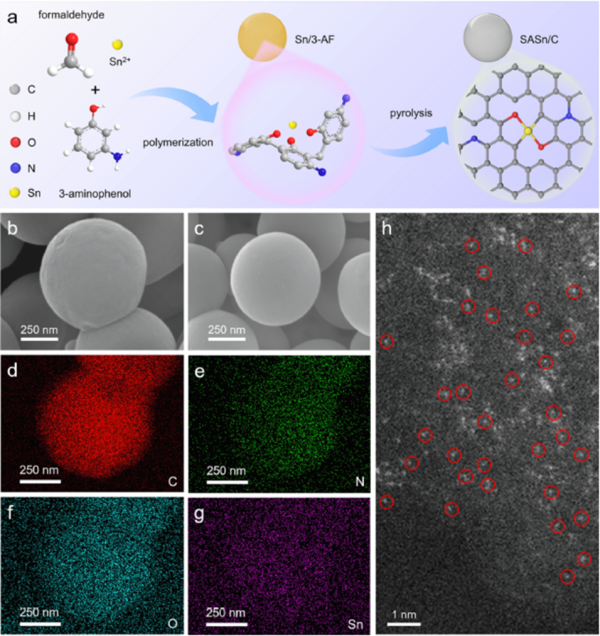 过程工程所等开发出单原子锡/碳复合材料 过程工程所等开发出单原子锡/碳复合材料
